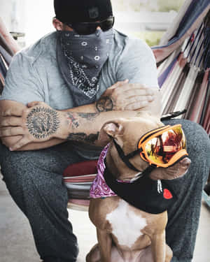 有紋身和太陽眼鏡的男人與戴護目鏡和頭巾的比特犬坐在吊床上。