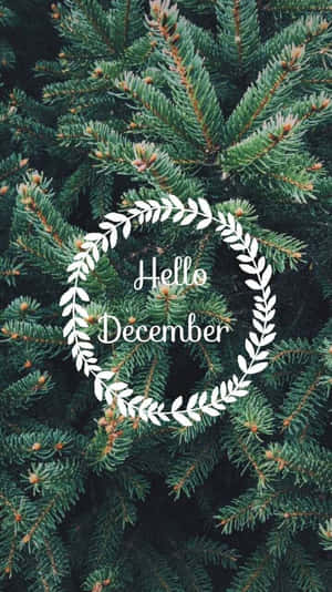 白色花環，帶有 Hello December 文字，松樹背景