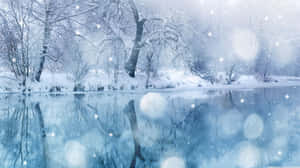 積雪的樹木倒映在飄雪下平靜的河流中。