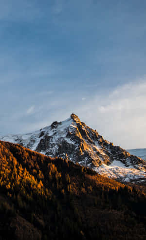 白雪覆蓋的山峰在日落光芒中閃耀，映照在秋日森林之上。