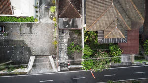 傳統瓦頂房屋與綠植沿街的俯視圖。