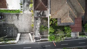 傳統瓦頂房屋與綠植沿街的俯視圖。