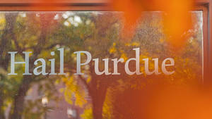 結霜的窗戶帶有「Hail Purdue」文字和秋樹倒影。