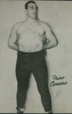 摔跤手Primo Carnera赤裸上身、雙手叉腰站立的復古黑白肖像。 — 摔角 GIF 壁紙