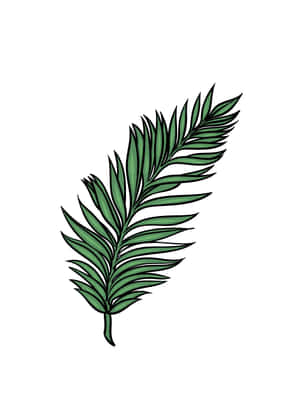 白色背景上帶有黑色輪廓的綠色棕櫚葉插圖。 — 棕櫚樹 GIF 壁紙