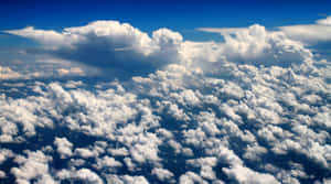 廣闊的天空充滿了蓬鬆的白雲，在明亮的藍天下。