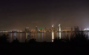 城市天際線的夜景，水面上有一座燈火通明的橋樑，前景有深色植物。