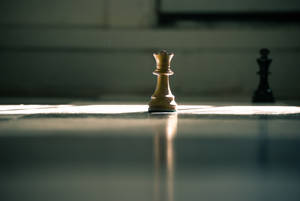 一個被陽光照射嘅國際象棋國王喺反光棋盤上，背景有一個深色對手棋子。