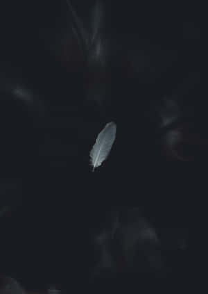 白色羽毛懸浮在黑暗煙霧中，周圍有發光的煙縷。