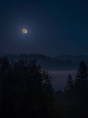 滿月從夜間霧氣森林山谷升起。