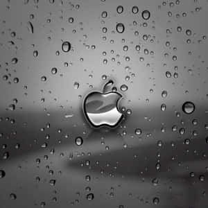 Apple標誌在玻璃上的雨滴中反射