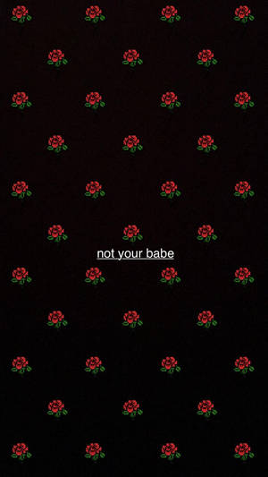 黑色背景上的像素化紅玫瑰，文字 not your babe