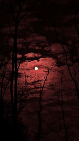 暴風雨夜空中，血紅色的月亮在光禿樹木剪影後方。
