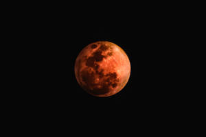 在黑暗夜空中發光的血紅色月亮
