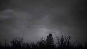 持盾剪影人物，暴風雨田野