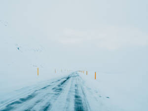 一條雪路，橙色柱子消失在白色冬季霧氣中。