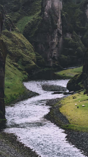 一條河流蜿蜒穿過長滿苔蘚的峽谷，羊群在長滿青草的河岸上吃草。