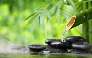 水從竹管傾瀉到霧氣花園中的黑色石頭上。 — 桌面美學 壁紙