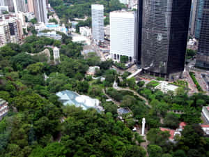 被高樓大廈環繞的綠色公園的鳥瞰圖。 — 天際線 壁紙