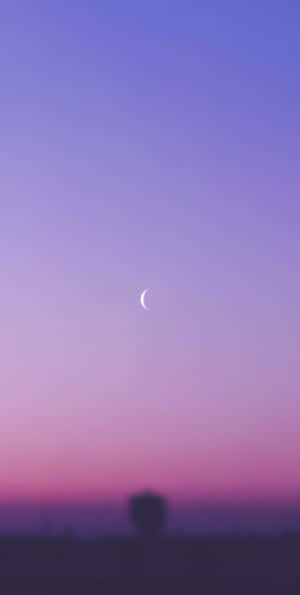 Pink Moon