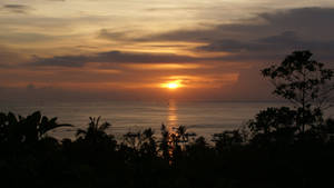 夕陽映照海洋，棕櫚樹和船隻剪影襯托金色天空