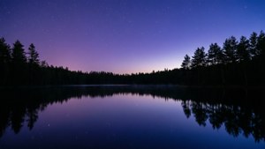 星空倒映在松樹環繞的平靜湖面上。