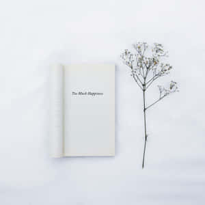打開的書，書名《Too Much Happiness》，旁邊有乾花枝，白色背景。