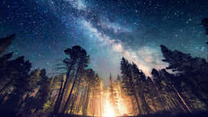 星空下的森林，營火在銀河下閃耀
