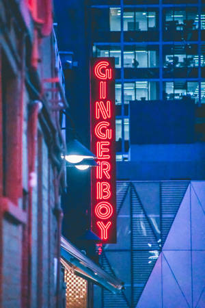夜間城市景觀中，一個寫著gingerboy的紅色霓虹燈牌與藍色建築。