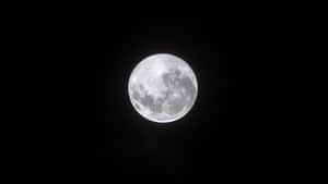 滿月，在黑暗的天空中可見隕石坑 — 月色夜空 壁紙
