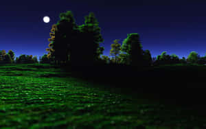 月光下的草地，綠草與樹木剪影，星空下。 — 月色夜空 壁紙