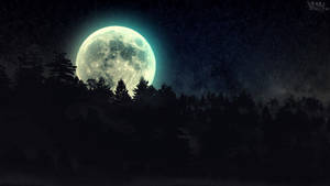 一輪巨大的發光月亮在星空下夜間從黑暗森林後升起。