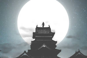 武士在城堡屋頂上，滿月和星星之下