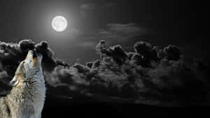 狼在黑夜中對著月亮嚎叫，烏雲密佈