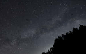 星空夜空，銀河在樹木剪影之上