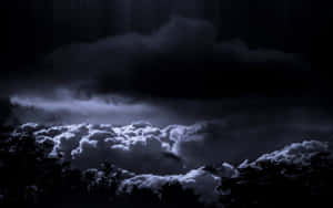 月光下發光嘅黑暗暴風雲喺夜晚嘅森林剪影上面。 — 天氣 壁紙
