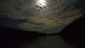 月光照耀的河流，被黑暗森林包圍，在多雲的夜空下 — 夜空 壁紙
