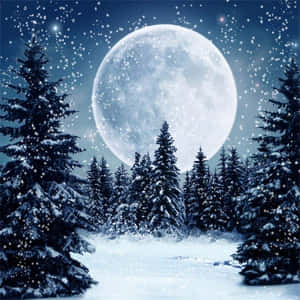 滿月下積雪的松樹，飄雪和閃爍的星星。 — 月色夜空 壁紙