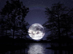 夜晚湖面上的滿月，樹木剪影襯托著星空。