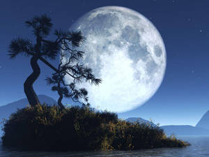 Wallpapers For > Blue Moon Wallpapers For Mobile — 月亮 壁紙