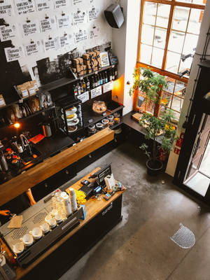 現代咖啡店內部，設有木製櫃檯、黑色層架，以及靠近窗戶的盆栽植物。