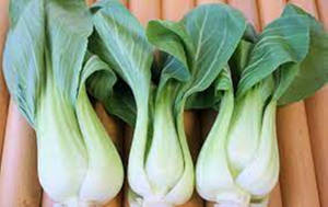 木面上三棵新鮮小白菜蔬菜