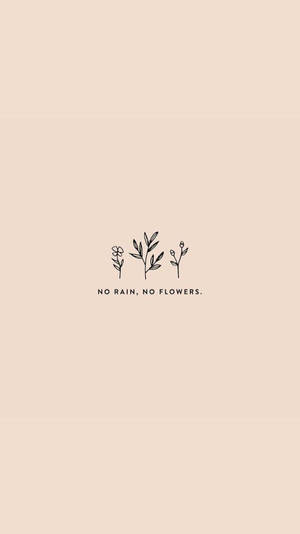 三棵線條畫植物，米色背景上有 no rain no flowers 文字 — 語錄 壁紙