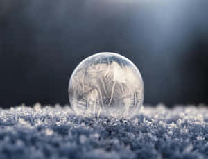 冬日雪地上氣泡內的霜花圖案。