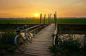 夕陽下，一輛單車停放在運河上的木橋上，背景是稻田。