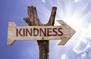木製箭頭標誌指向右邊，上面寫著「kindness」，背景是晴朗的天空。 — 愛心 壁紙