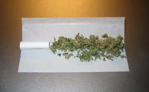 在有紋理的表面上，白色捲紙上有一排綠色大麻花蕾。