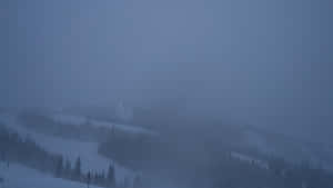 被霧籠罩的雪山斜坡，有常青樹和遠處的滑雪道燈光。
