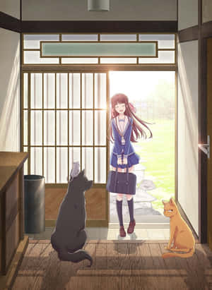 動漫女學生穿著校服在門口微笑，旁邊有兩隻貓。
