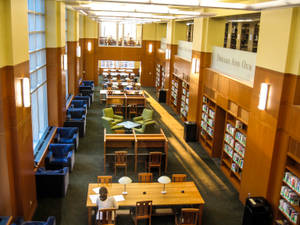 一個寧靜的圖書館，有木製書桌、書架，還有一個人在桌上學習。